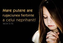 Creștinul și puterea politică