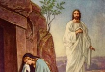 El a văzut şi a crezut!