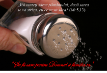 Cateheză pentru Familii: „Să fii sare pentru Domnul și familia ta”
