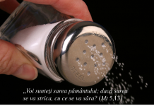 Să fii sare pentru Domnul și familia ta